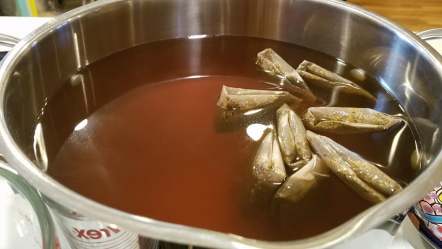 Kombucha_1st Process