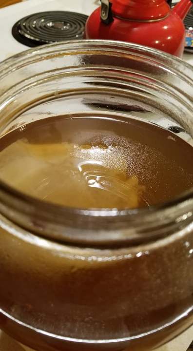 Kombucha_1st Process_Pic1