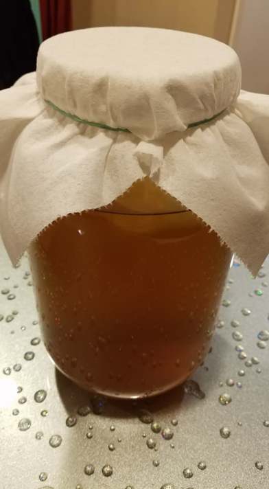 Kombucha_1st Process_Pic2