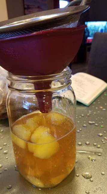 Kombucha_2nd Process_Pic2